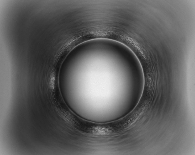 X0000096980596200802081409