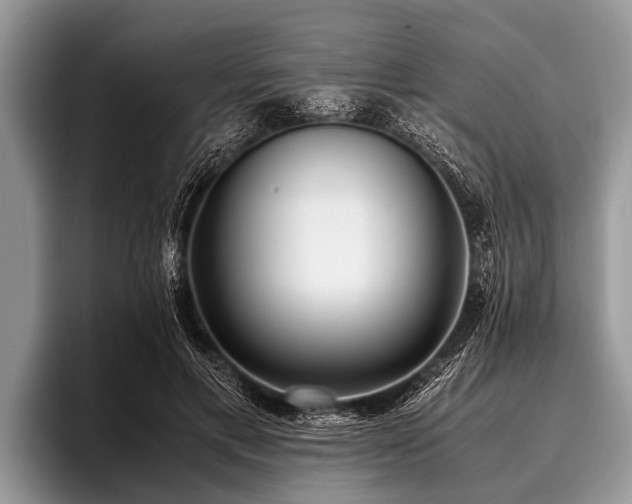 X0000096980597200802081409