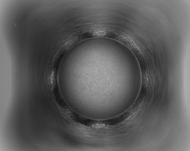 X0000096980598200802081409