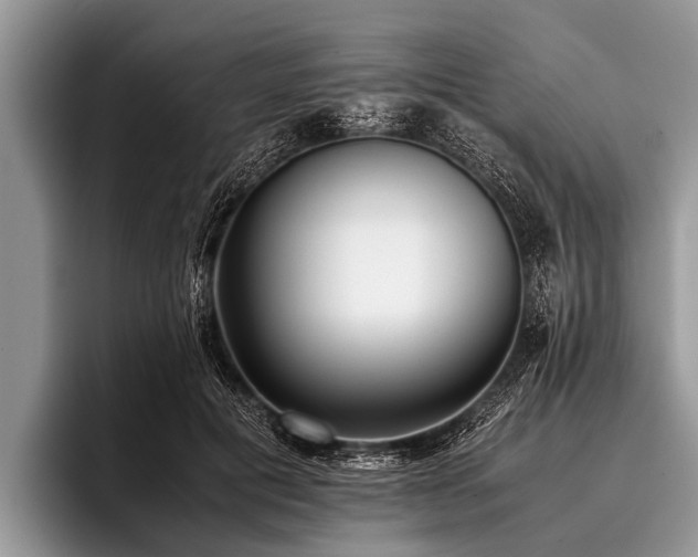 X0000096980601200802081409