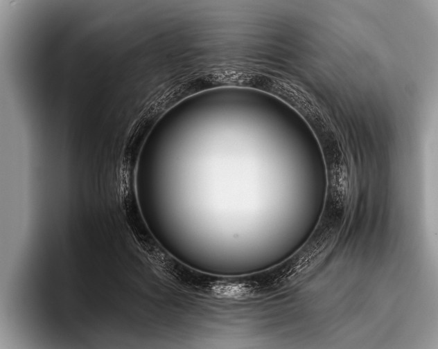 X0000096980602200802081409