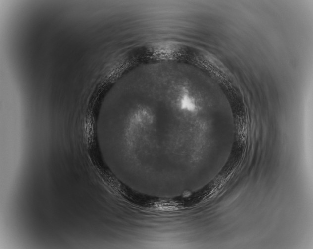 X0000096980603200802081409