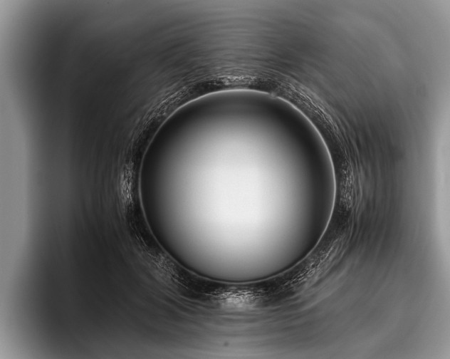 X0000096980604200802081409