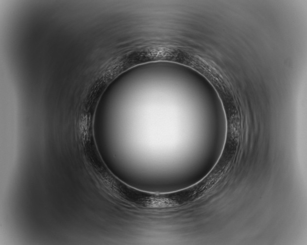 X0000096980605200802081409