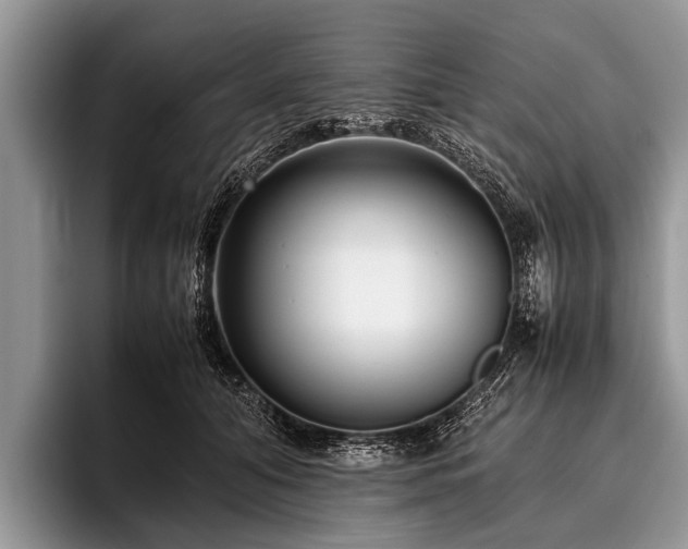 X0000096980608200802081409