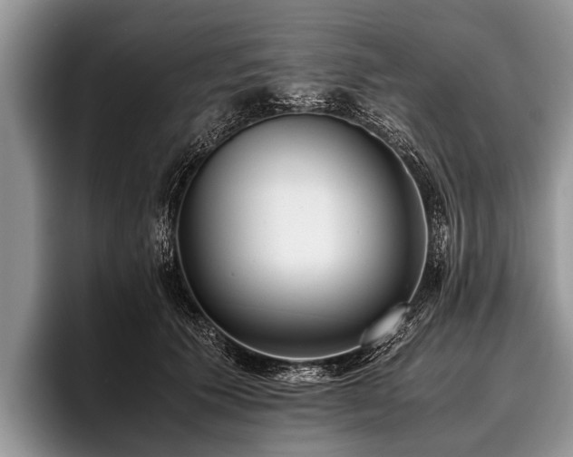 X0000096980609200802081409