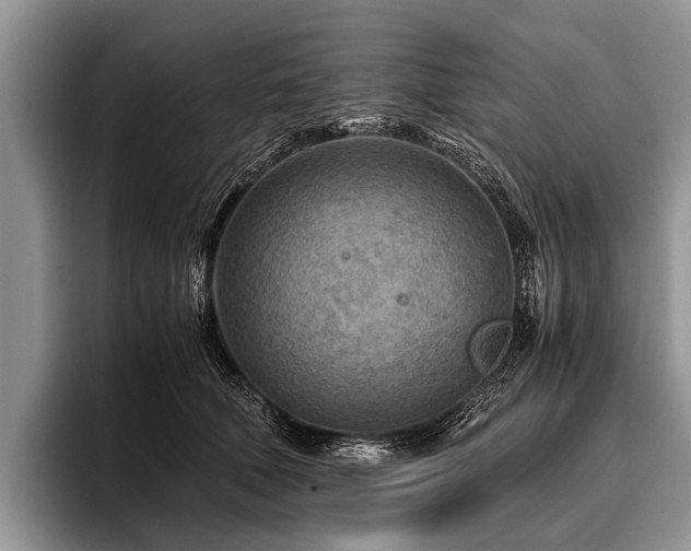 X0000096980610200802081409