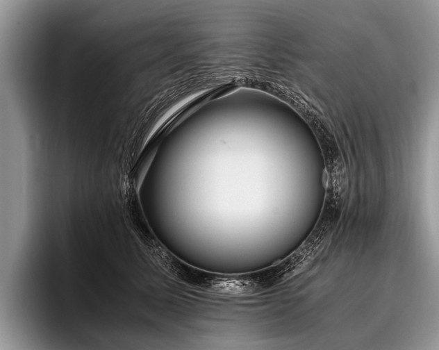 X0000096980611200802081409