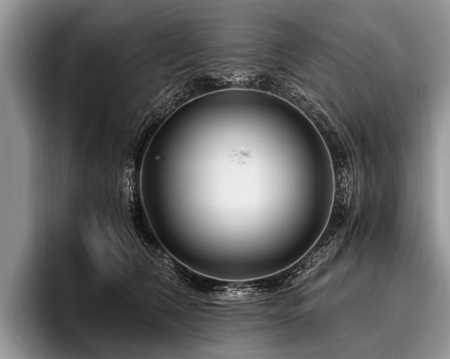 X0000096980612200802081409