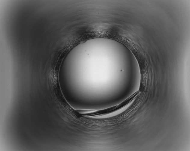 X0000096980613200802081409