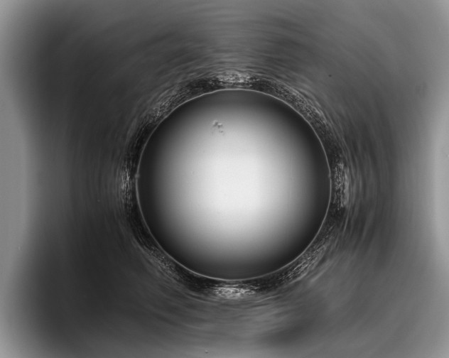 X0000096980614200802081409