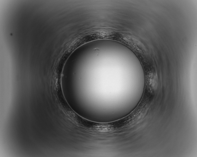 X0000096980615200802081409