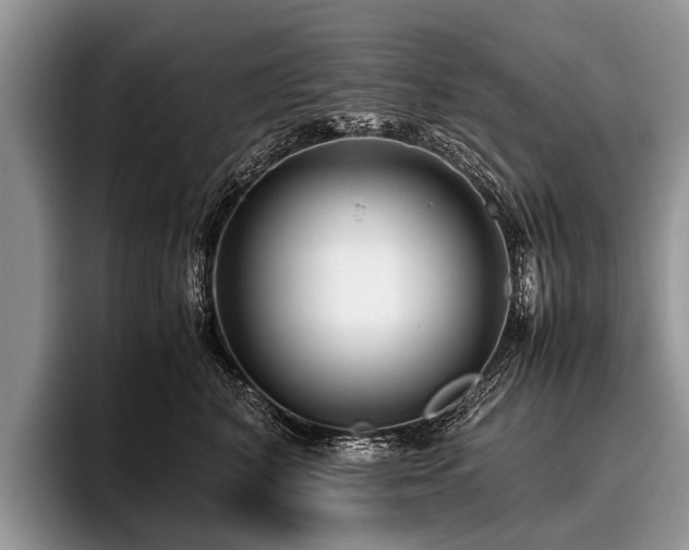 X0000096980616200802081409