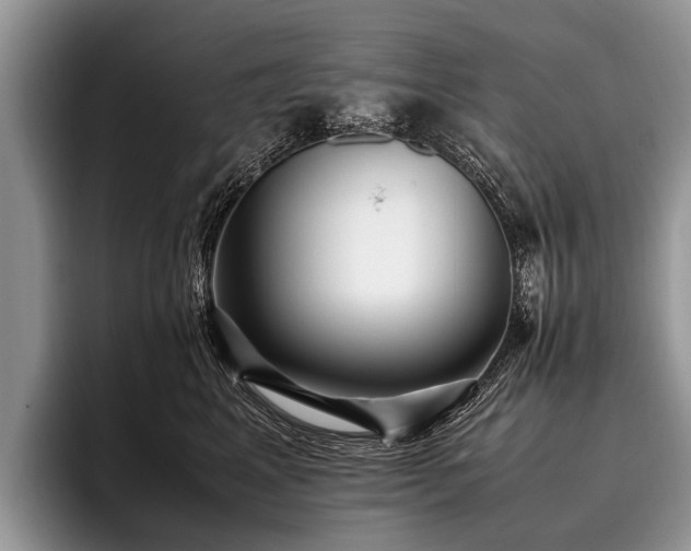 X0000096980617200802081409