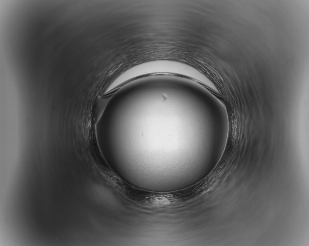 X0000096980618200802081409