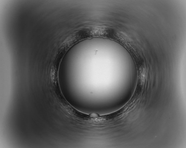 X0000096980619200802081409