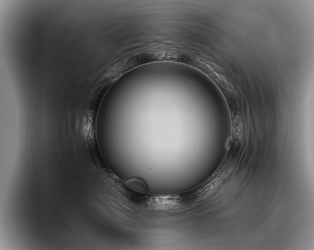 X0000096980622200802081409