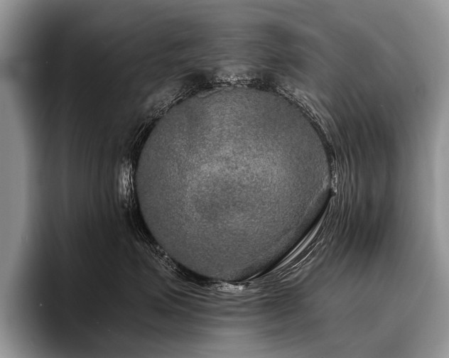 X0000096980623200802081408