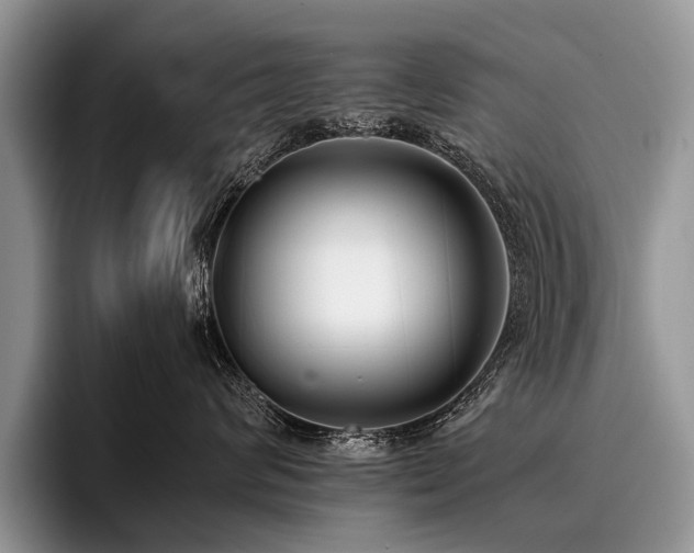 X0000096980624200802081408