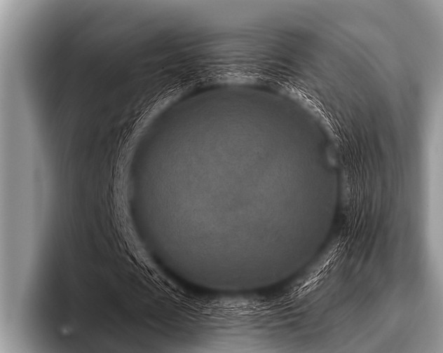 X0000096980625200802081408