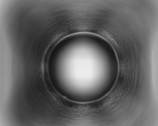 X0000096980626200802081408