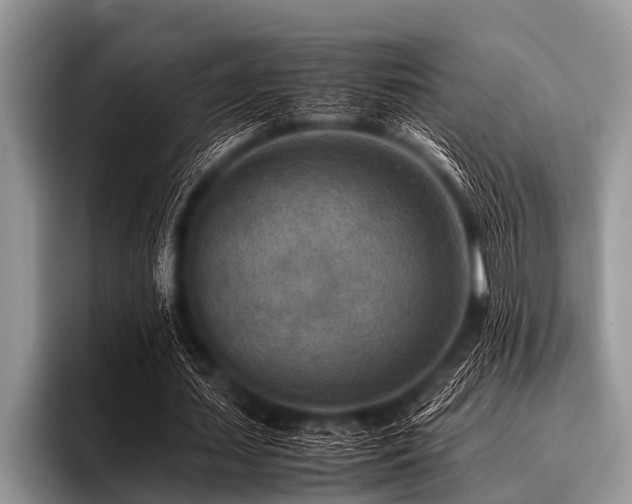 X0000096980627200802081408