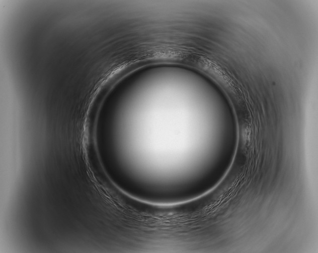 X0000096980628200802081408