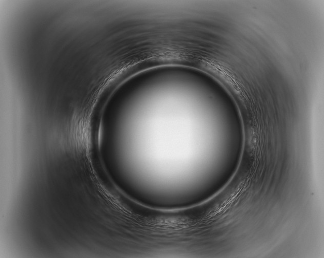 X0000096980629200802081408