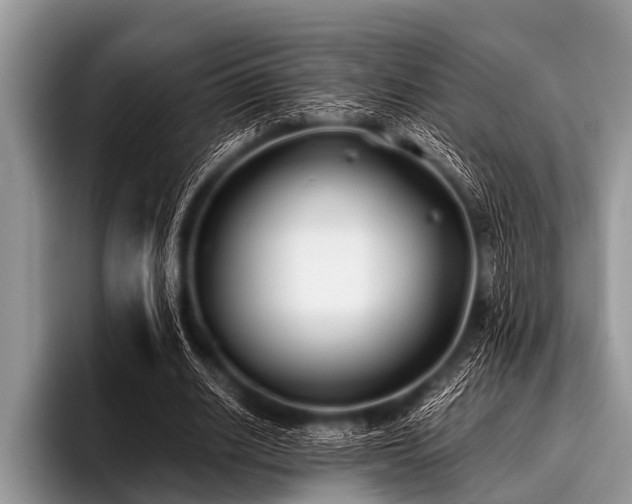 X0000096980630200802081408