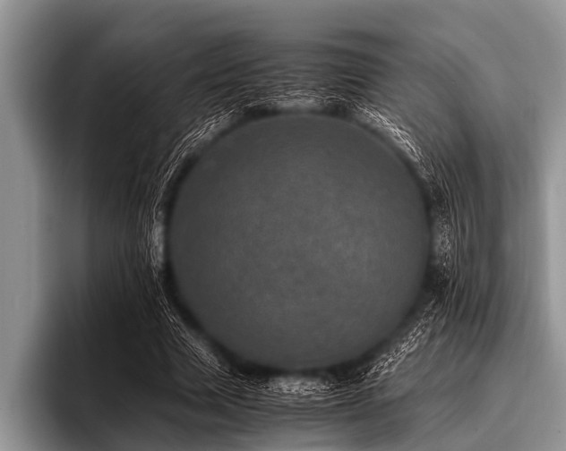 X0000096980633200802081408