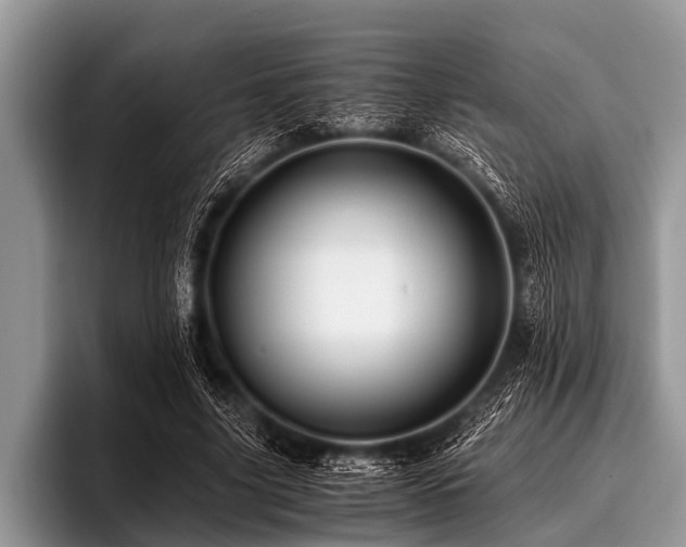 X0000096980635200802081408