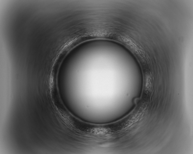 X0000096980636200802081408