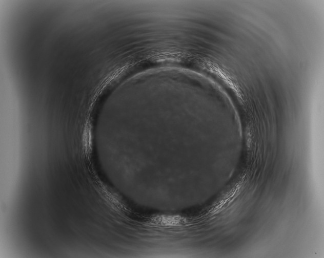 X0000096980637200802081408