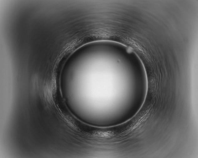 X0000096980638200802081408