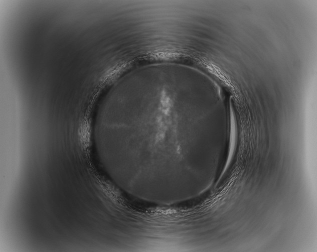 X0000096980640200802081408