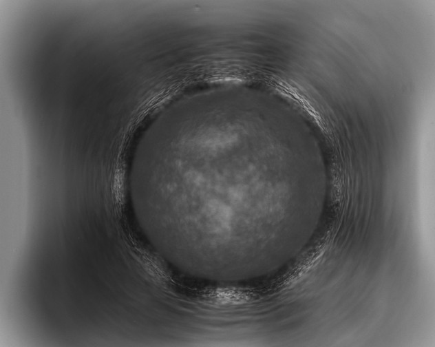 X0000096980641200802081408