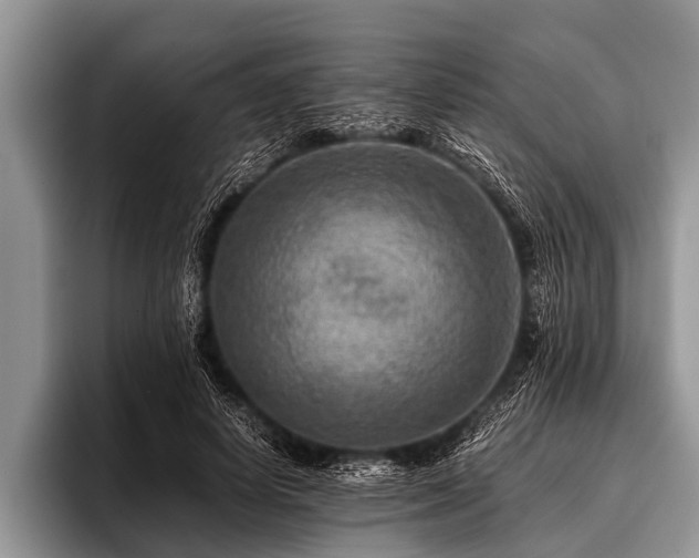 X0000096980642200802081408