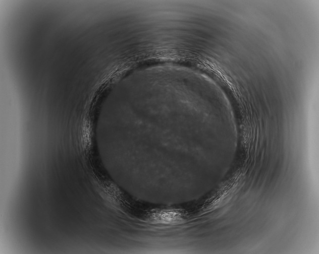 X0000096980643200802081408