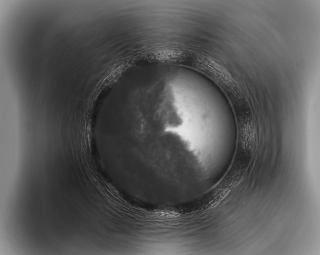 X0000096980644200802081408