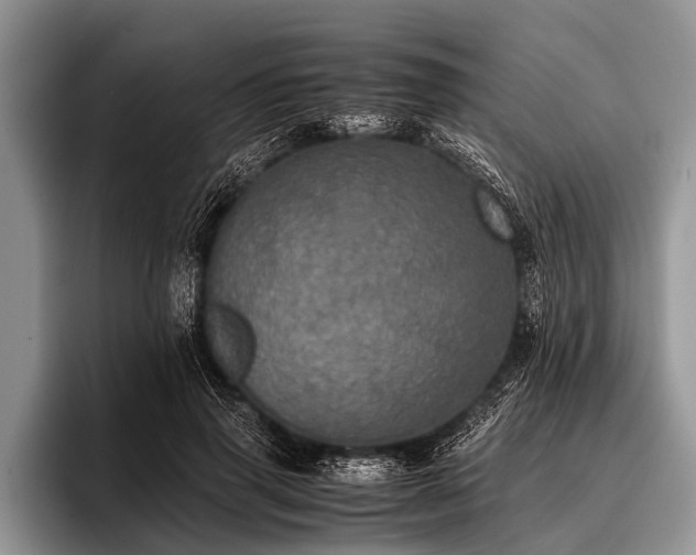 X0000096980645200802081408