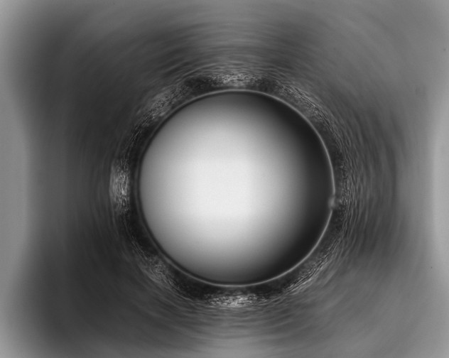 X0000096980646200802081408