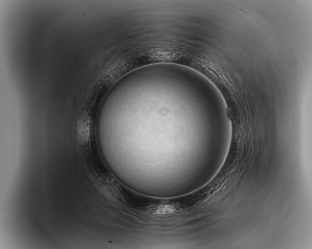 X0000096980647200802081408