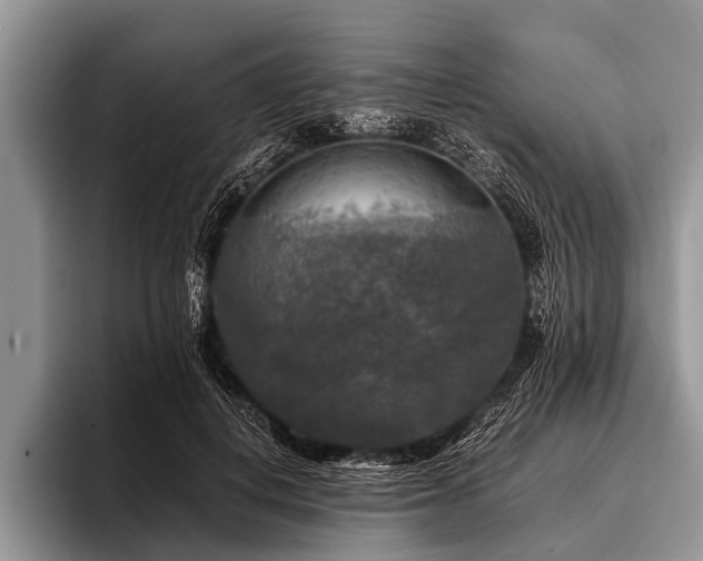 X0000096980648200802081408