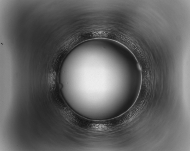 X0000096980649200802081408