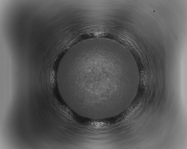 X0000096980650200802081408