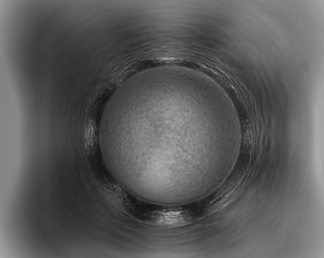 X0000096980651200802081408