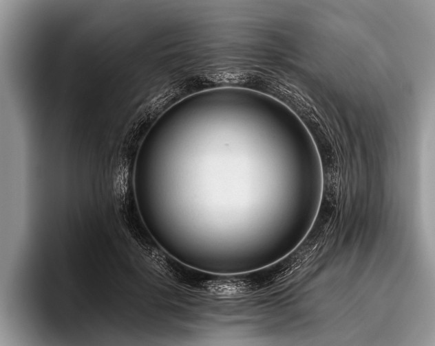 X0000096980652200802081408