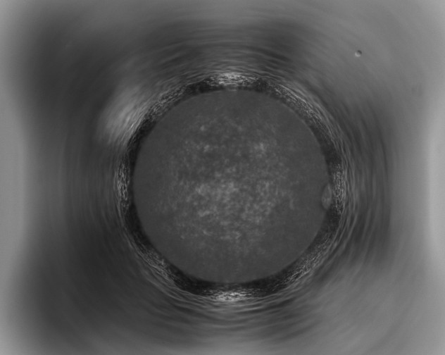 X0000096980653200802081408