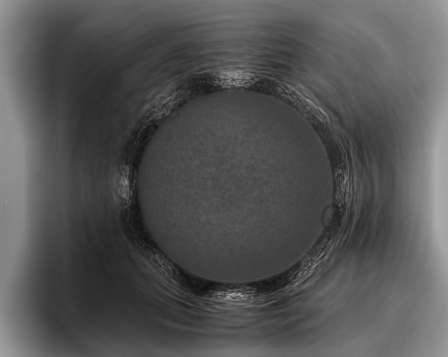 X0000096980655200802081408