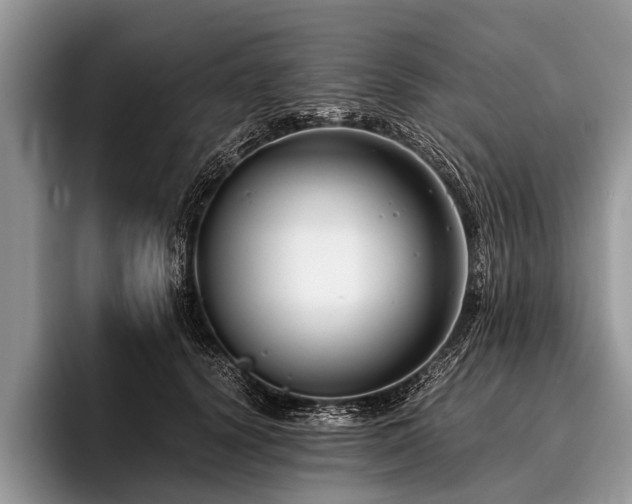 X0000096980656200802081408